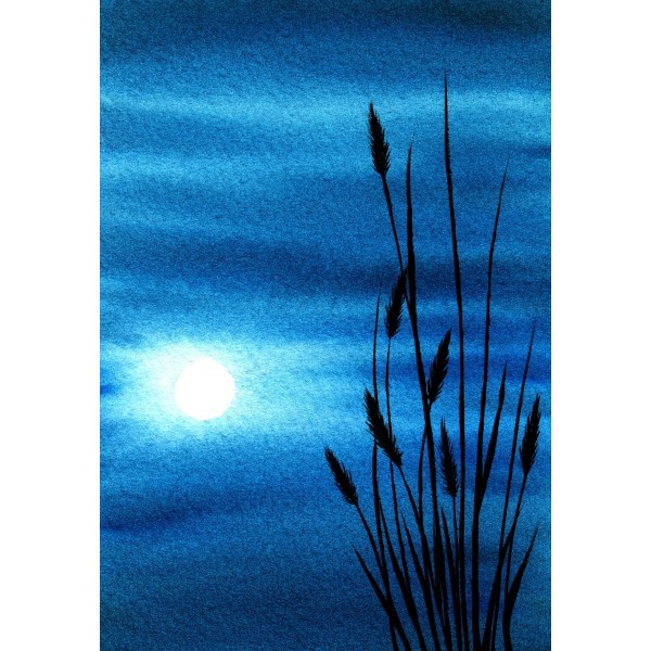 Moonlight Reflection at Night