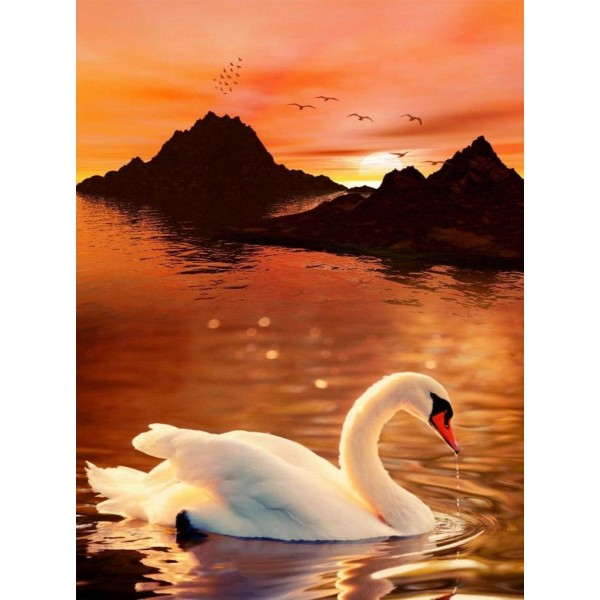 Swan at Sunset