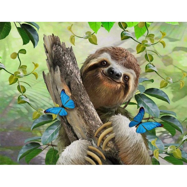 Sloth with butterflies