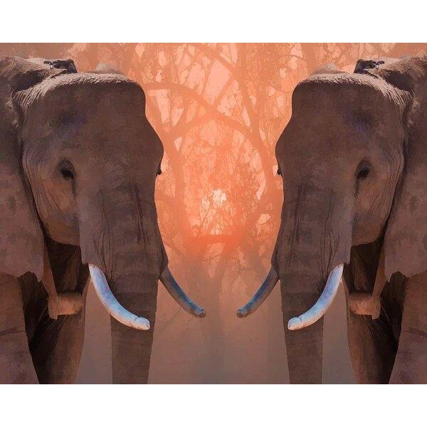 The Twin Elephants