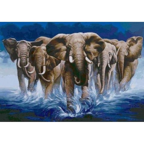 The Elephants in Ocean