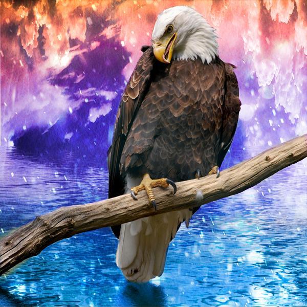 Eagle in The Dream World