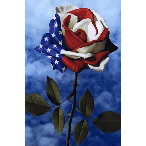 American Flag in Rose