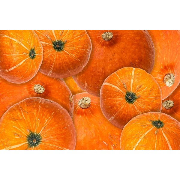 Collage of Pumpkins
