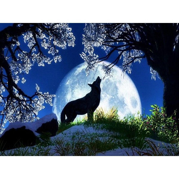 Wolf Silhouette in Moonlight