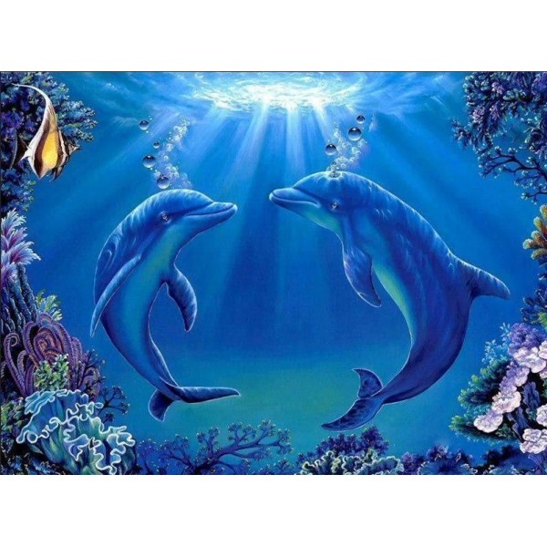 Dolphins Together Forever