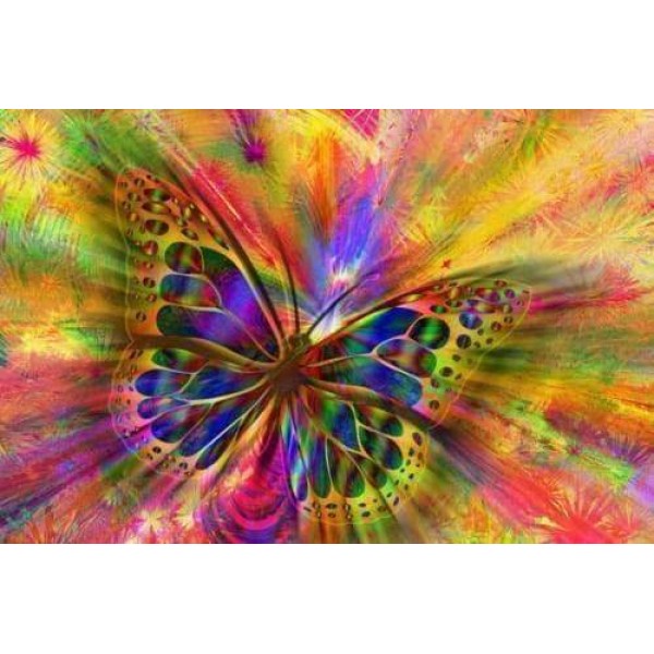 Explosion of Color Butterfly