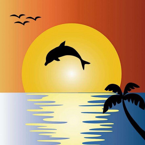 Cheerful Dolphin in the Sun