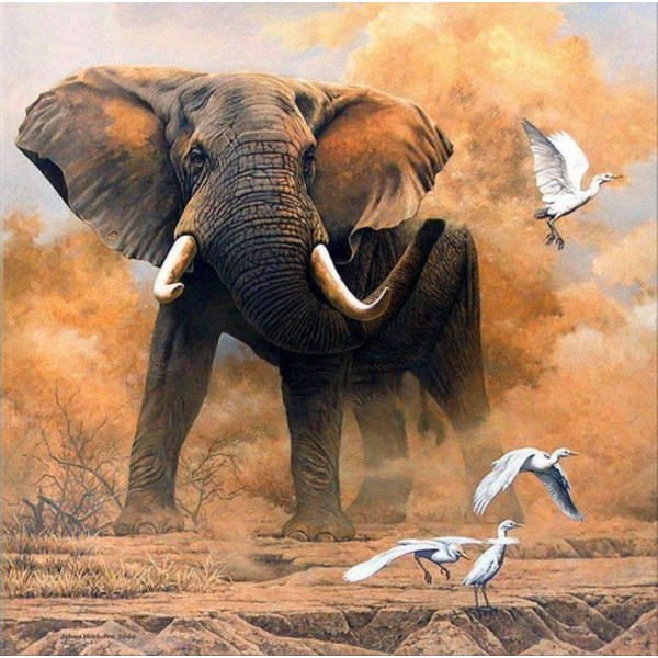Elephant with Birds