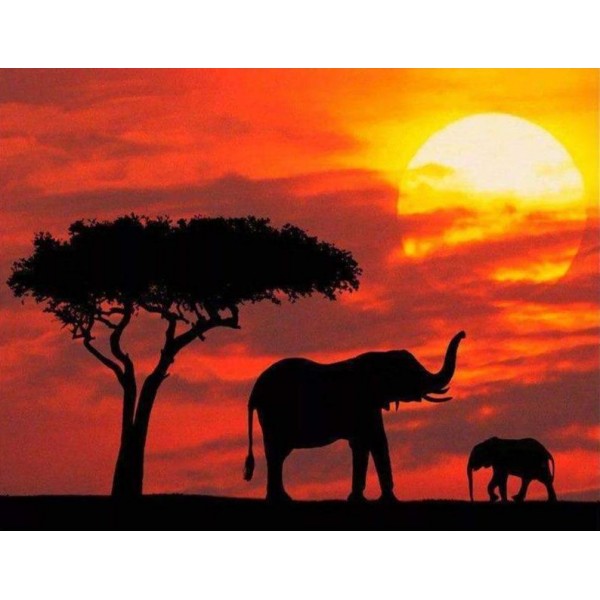 Elephants with Red Sunset