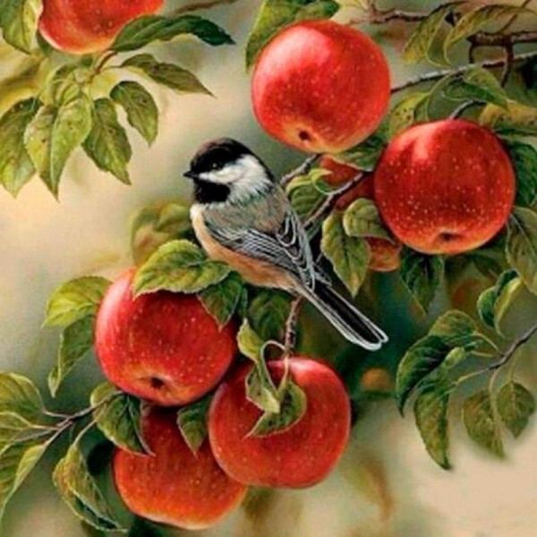 Bird in Apple Tree