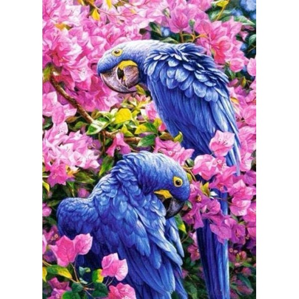 Parrot with Pink Blossom