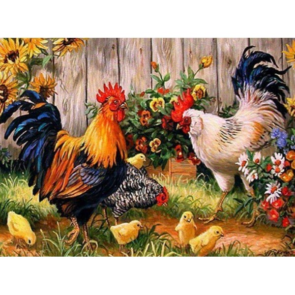 Chicken Family in the Garden