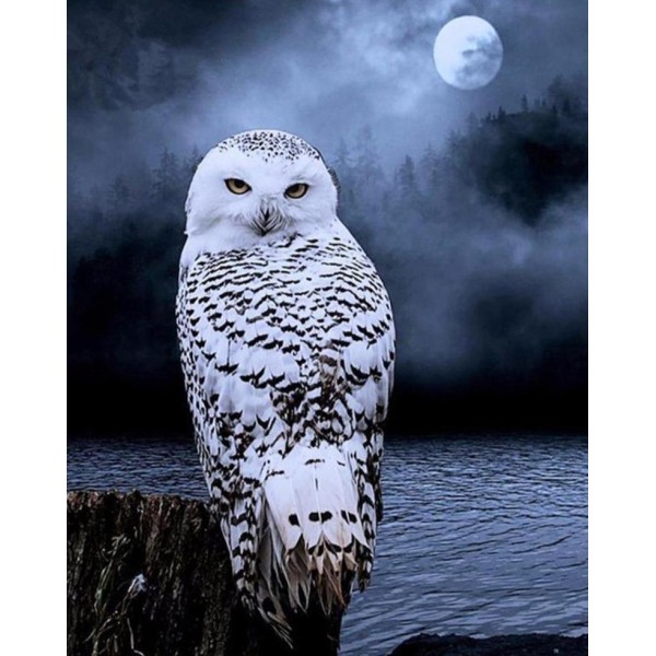 Snowy Owl in Moonlight