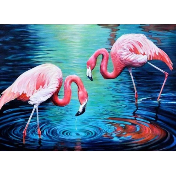 Flamingos in The Water