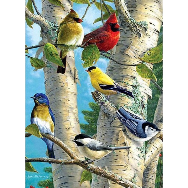 Coloured Birds in the Tree