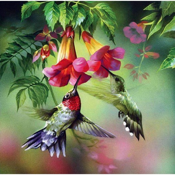 Hummingbirds with Flowers