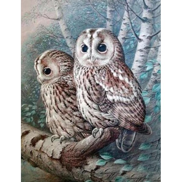 Two Owls on a Branch