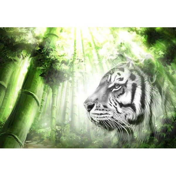 White Tiger in the Green Forest