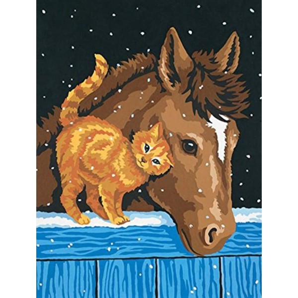 The Foal and The Cat