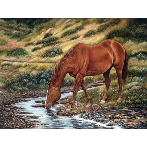 Brown Horse Drinking Water