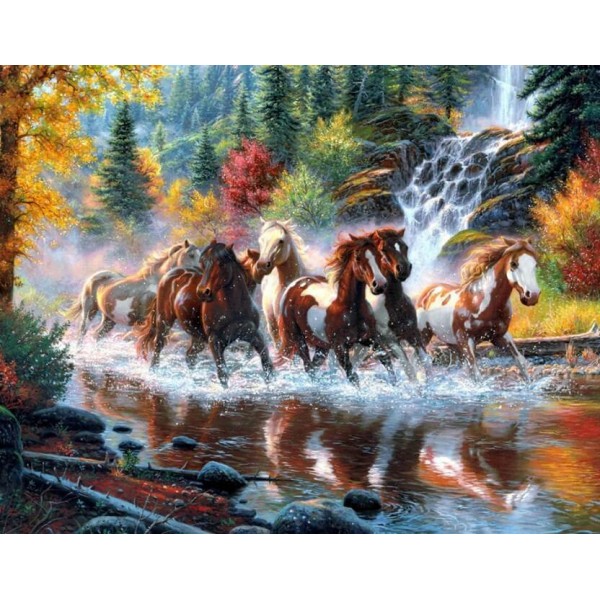 Horses in the Forest