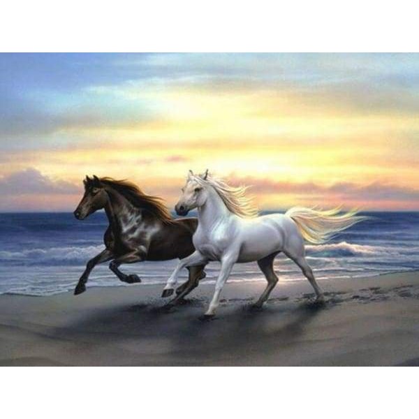 Horses Running on the Beach