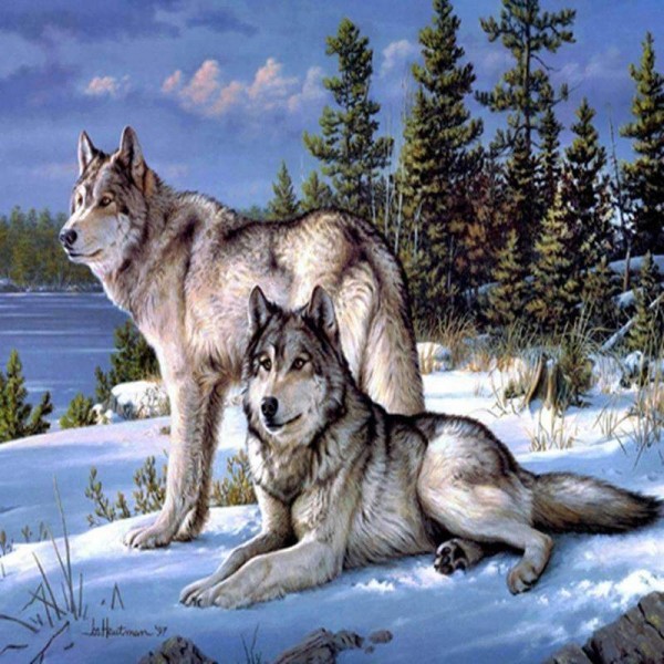 The Arctic Wolves