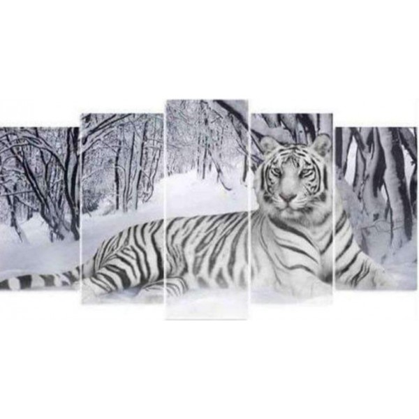 White Tiger in the Snow