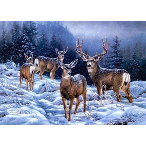 Deers in the Snow