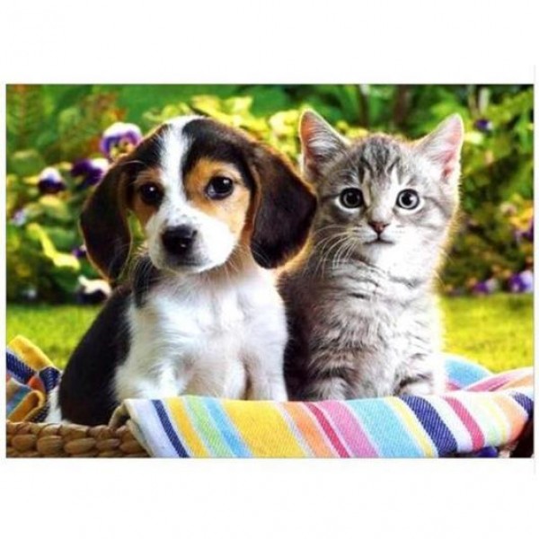 Puppy & Kitten in Basket