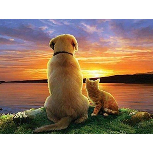 Dog and Cat at Sunset