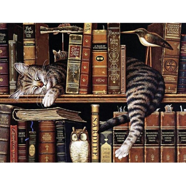 Cat Sleeping on The Bookshelf