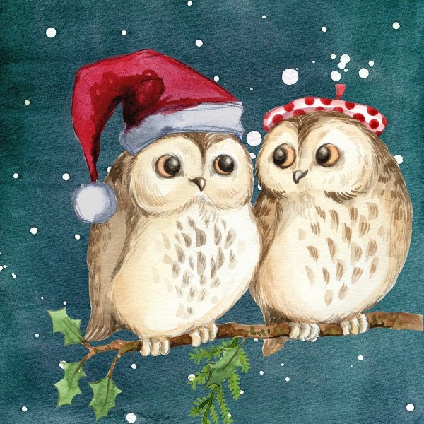 Owl Heads at Christmas